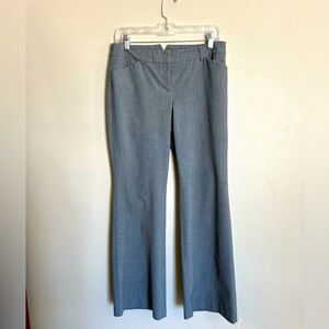 Express Design Studio Editor Pants